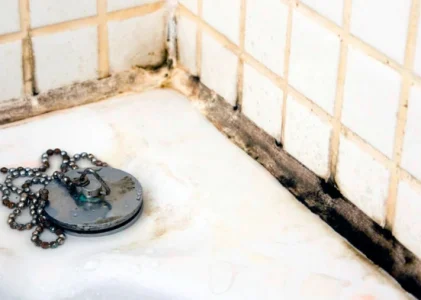 Un remediu de un penny „ucide” mucegaiul în 1 oră: poate fi utilizat în baie și pe pereți