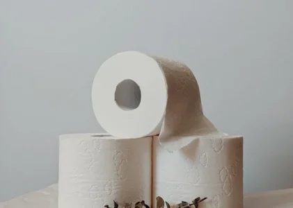 Nu aruncați manșoanele de hârtie igienică: patru moduri ingenioase de a le transforma în obiecte utile acasă